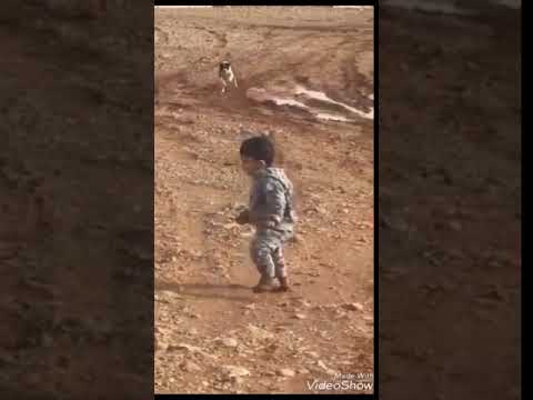 Köpekten efsane kaçan çocuk(VAY DELİKANLI GÖNLÜM)