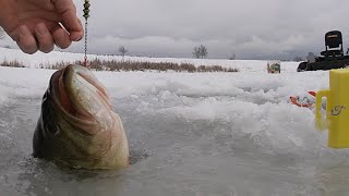 Ice Fishing TIP-UP BASS MASTER
