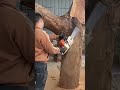 wood cutting machine d #shorts