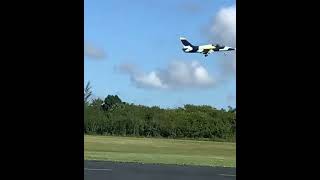 #rc L-39 Albatros landing