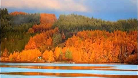 زايد العطية جديد بجودة عالية سورة من جزء عم   YouTube