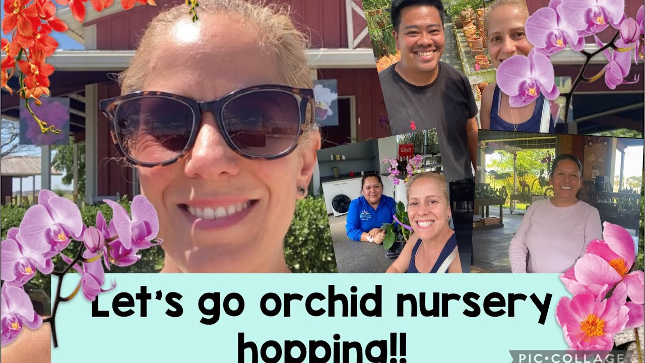 Orchid Nursery hopping extravaganza!!!