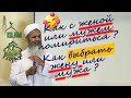 Помириться с мужем и женой как. Хасан Али шейх ислам семья #3