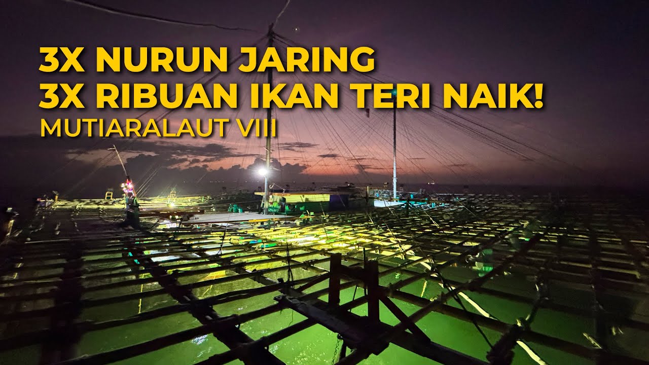 3 KALI NURUNIN JARING, 3 KALI DAPET RIBUAN IKAN TERI! REZEKY GAK AKAN TERTUKAR BAGAN APUNG MUTIARALA