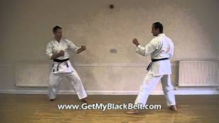 Karate Blocks and Counters Combinations Home DVD Course