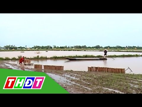 Video Hệ quả khi bán lớp đất mặt | THDT - youtube