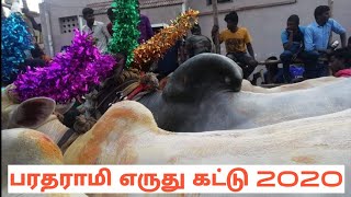 Paradarami Erudhu Kattu 2020 I Vellore Manjuvirattu I Kalai vidum thiruvizha 2020 I TamilMayan