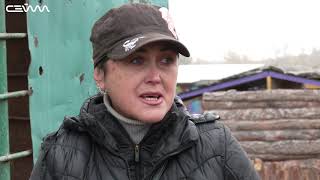 В Курской области на женщину напал гималайский медведь