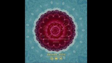 🤍اللهم صل وسلم على سيدنا محمد ✨ القارئ شريف مصطفى|Al Ahzaab: 56|Sherif Mostafa