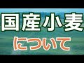 【 国産小麦 】について　パン作りから思う事