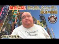 緊急公開！初場所応援ありがとうございました！勝ち越し力士の声と親方の総括