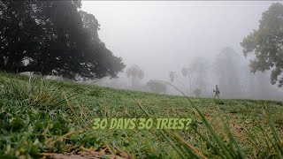 30 days 30 trees (failed attempt at 30 day challenge?)