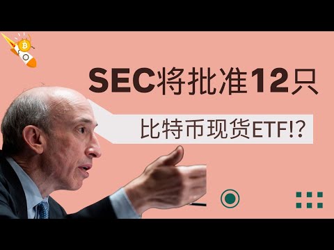 币圈重磅利好：SEC或批准12只比特币ETF，比特币将涨到100万美元！？