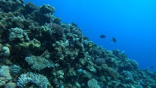 Lighthouse, Diving Red Sea, Egypt, Dahab 2021, Part 1