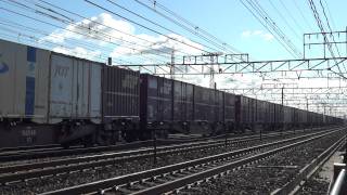 JR貨物 EF65-1077 貨物列車(5087レ 原色 国鉄特急色 赤プレ) 稲沢駅発車