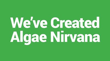 Pure Algae Growth Systems