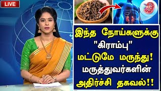 கிராம்பு தண்ணீரின் அதிசயம் |Health Benefits of Clove in Tamil |Krambu Water|Clove Health Tips Tamil