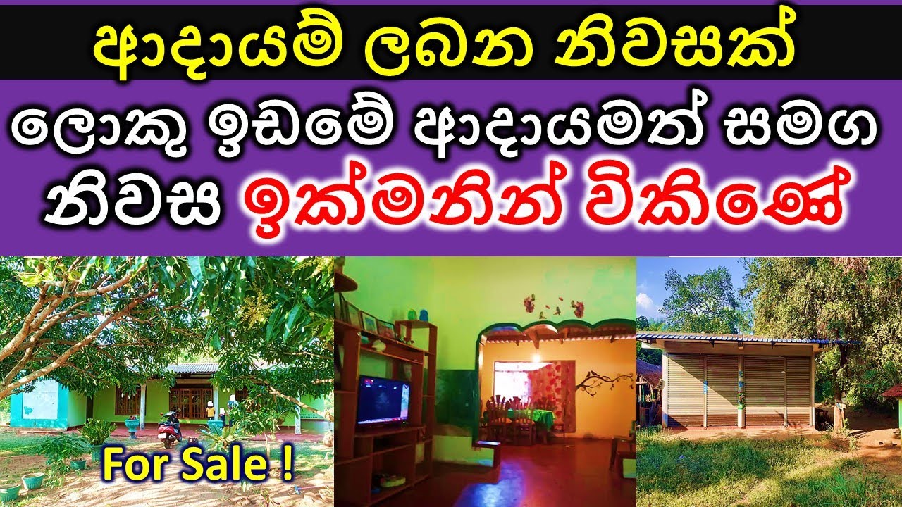 167 Perch Land and house for sale Idam sale in Sri Lanka Gewal