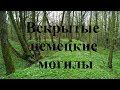 ВСКРЫТЫЙ СКЛЕП СРЕДИ ЛЕСА/КОПАЕМ МОНЕТЫ/ЕСТЬ СЕРЕБРО!!! КОП ПО ВОЙНЕ/WW2 METAL DETECTING