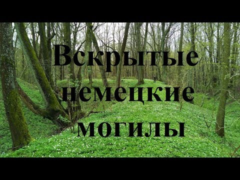 ВСКРЫТЫЙ СКЛЕП СРЕДИ ЛЕСА/КОПАЕМ МОНЕТЫ/ЕСТЬ СЕРЕБРО!!! КОП ПО ВОЙНЕ/WW2 METAL DETECTING