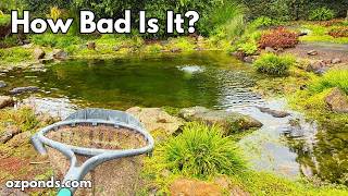 Cleaning a 5yr Old DIY Garden Pond