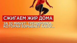 Сжигание жира без спортзала — реально ли это?