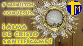 5 minutos con Jesús Sacramentado. Adoración al Santísimo Sacramento del Altar.