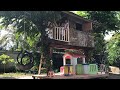 Update Rumah Pohon Tempat Playground Bermain Anak - Tree House
