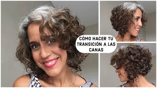 CÓMO HACER TU TRANSICIÓN A LAS CANAS  CONSEJOS / GREY HAIR