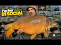 Lake exclusive brasenose one social 55 carp caught p1