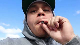 TRYING WEED FROM AMAZON
