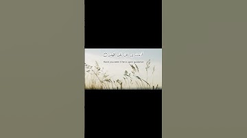 سورة العلق🍃| القارئ أحمد محمد سليمان |الجزء الثلاثون (جزء عمىَ)♥