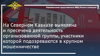 Ирина Волк: На Северном Кавказе Пресечена Деятельность Группы, Подозреваемой В Крупном Мошенничестве