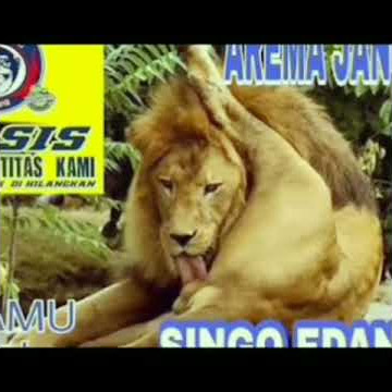 Buat Status WA keren