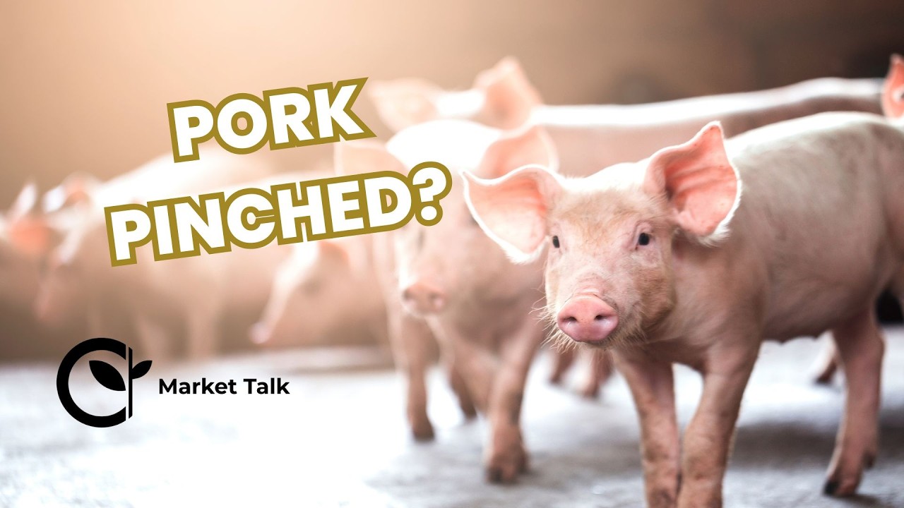 Why Pork Is Struggling While Beef Holds Up