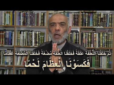 الإعجاز فى القرآن ثم خلقنا النطفة علقة فخلقنا العلقة مضغة فخلقنا المضغة عظاما فكسونا العظام لحما