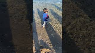 Cihangir Çık Ordan 😱 Şfet