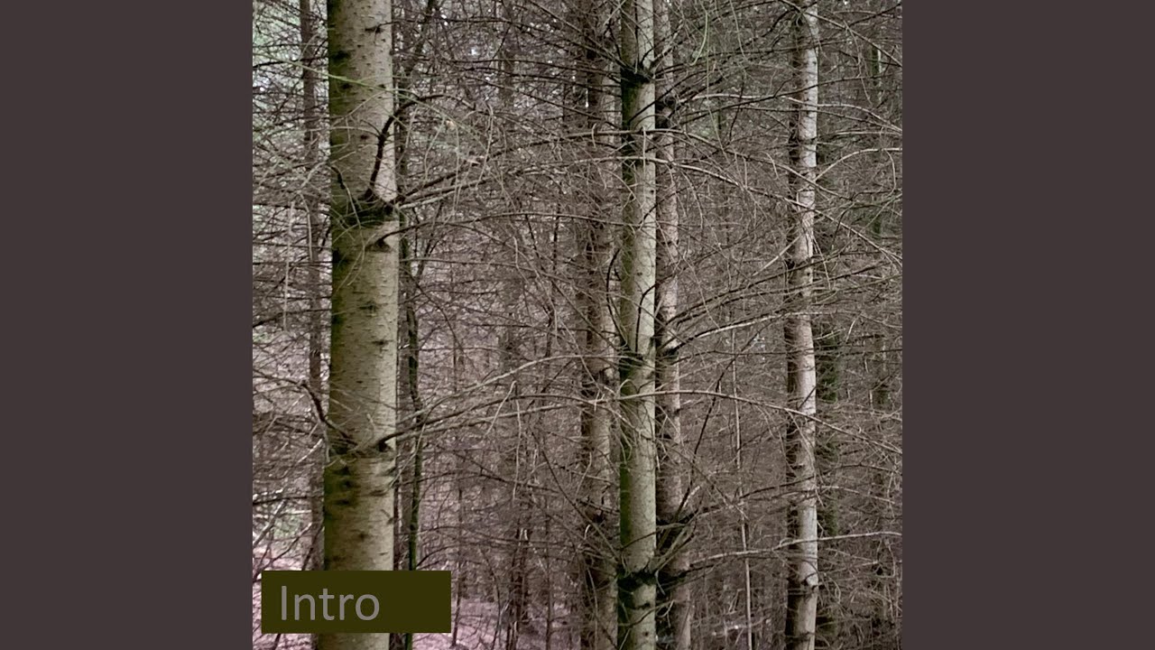 Watch Intro on YouTube Watch Intro on YouTube