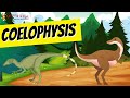 Coelophysis Dinosaur Facts Trivia Time Kids 
