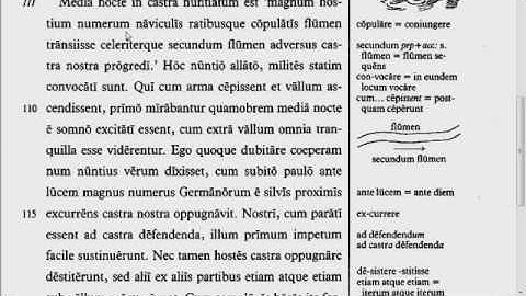 Lingua - 33.3 - Reading Tutorial