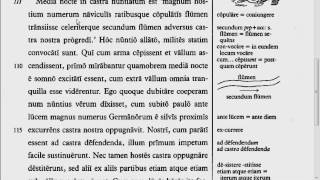 Lingua - 33.3 - Reading Tutorial