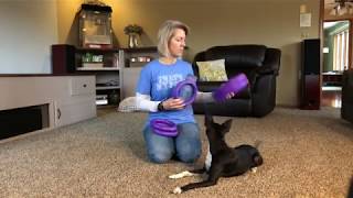 Puller  Dog Fitness Tool