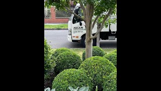 The Balance of Horticulture and Business Skills with ABCAM