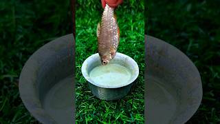 Miniature fish fry 🐠🔥 #shorts #shortsfeed#fishing#fishfry#tinykitchenset#viralvideo #cutefood