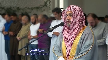 #سورة_النجم #القارىء #محمد_ربيع_الحافي