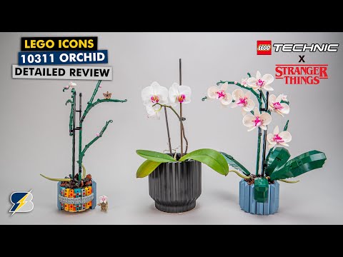 Lego Icons Orchid review