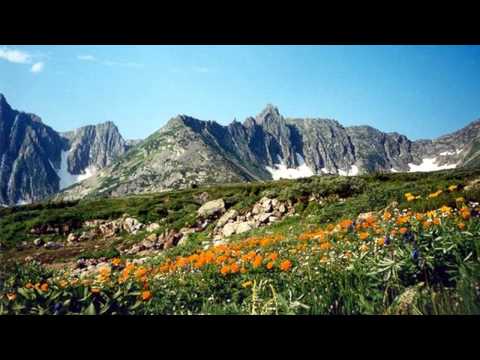 Видео: Национален парк Valley of Flowers: Пълното ръководство