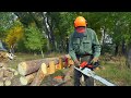 Sturdy Sawbuck for Cutting Firewood