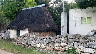 My favorite old home in Hocabá, so far! Magnificent! 😊| Village Life in Hocabá, Yucatán, México 🇲🇽