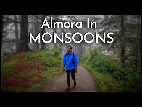 Living In A Hidden PINE FOREST In Almora | An Escape For Bruised Lungs